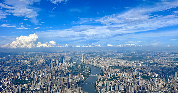 成都域名注册企业查询系统