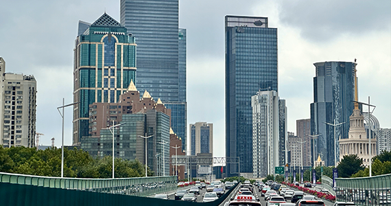 成都域名注册企业查询系统官网