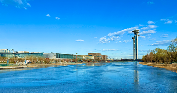 企业注册域名备案查询