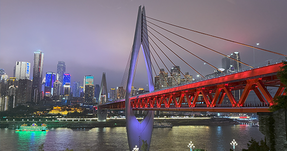 成都域名注册企业查询官网入口